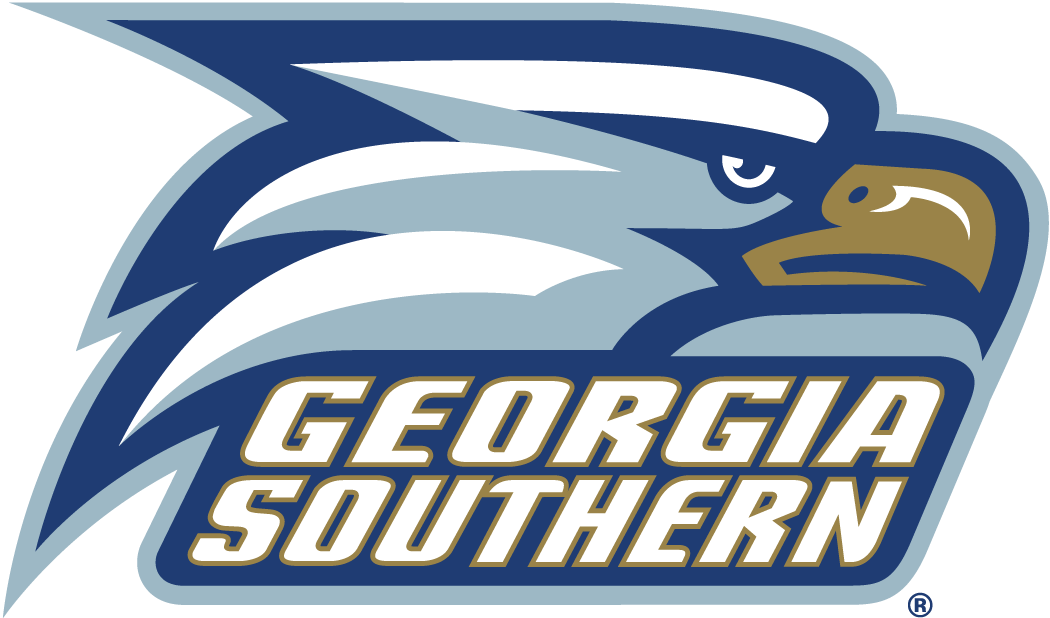 Georgia Southern Eagles 2004-Pres Alternate Logo diy DTF decal sticker